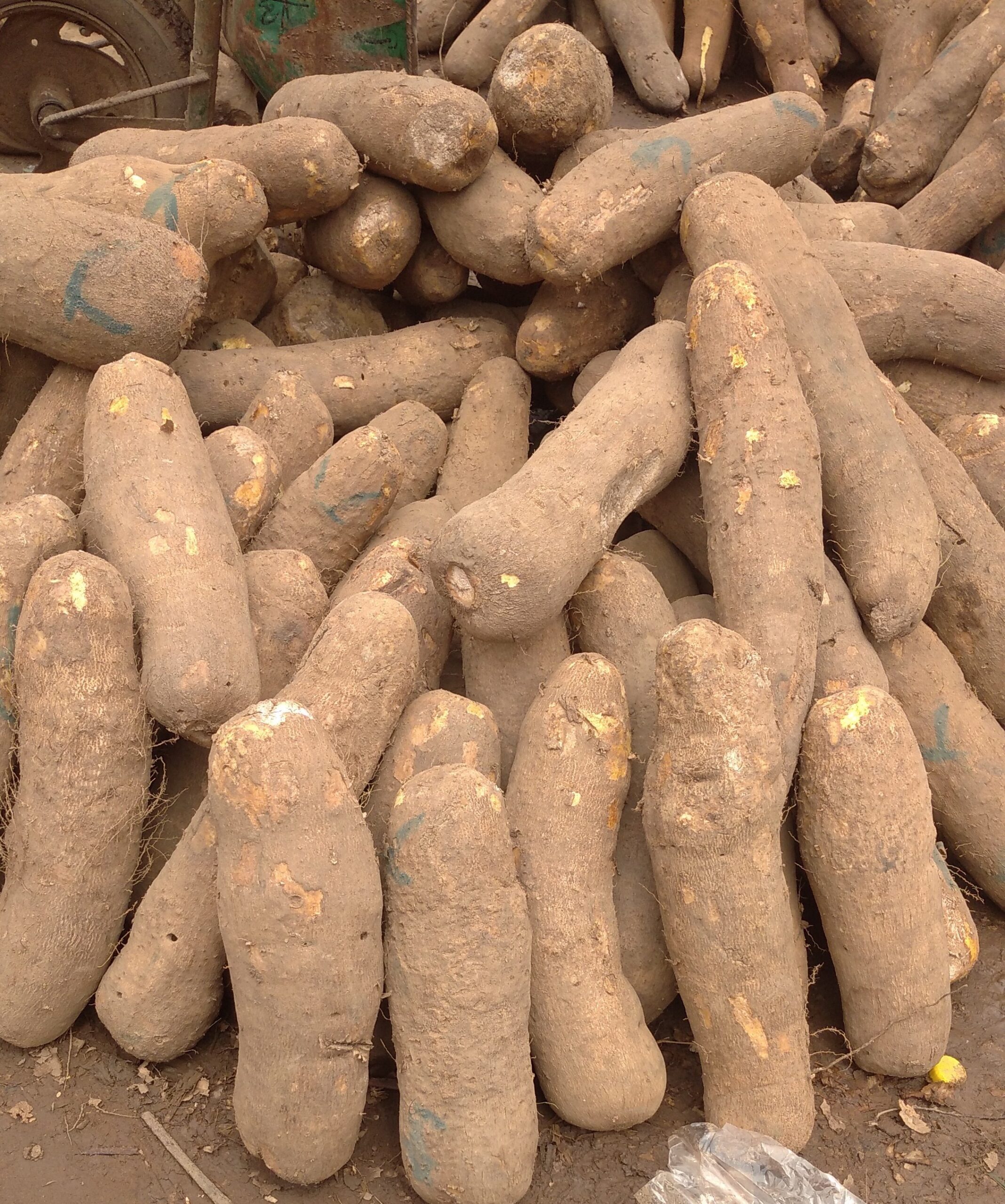 Agricultural & Forest Resources